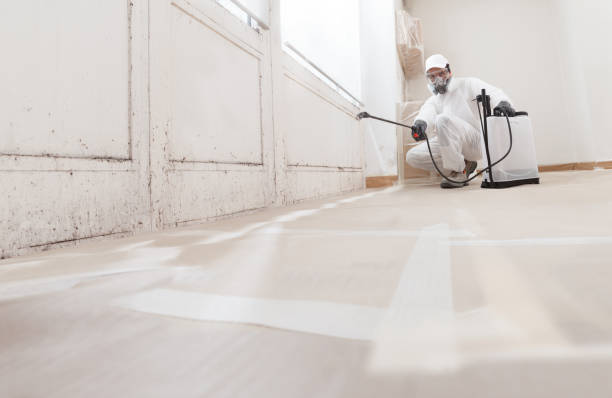 24/7 Emergency Attic Mold Remediation experts in Forest Park, IL